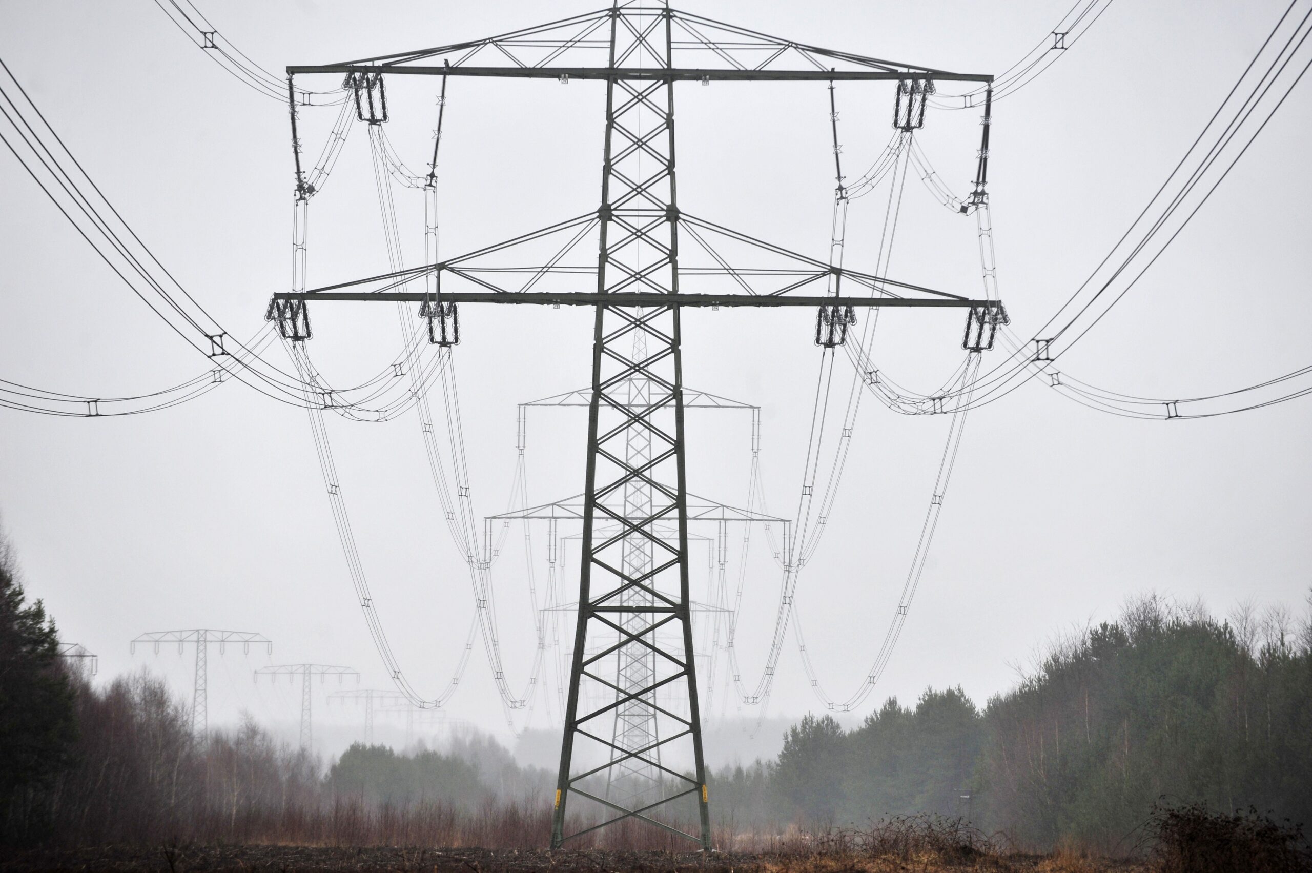 Verbraucherschützer: Entlastung bei Stromkosten kommt bei Haushalten kaum an