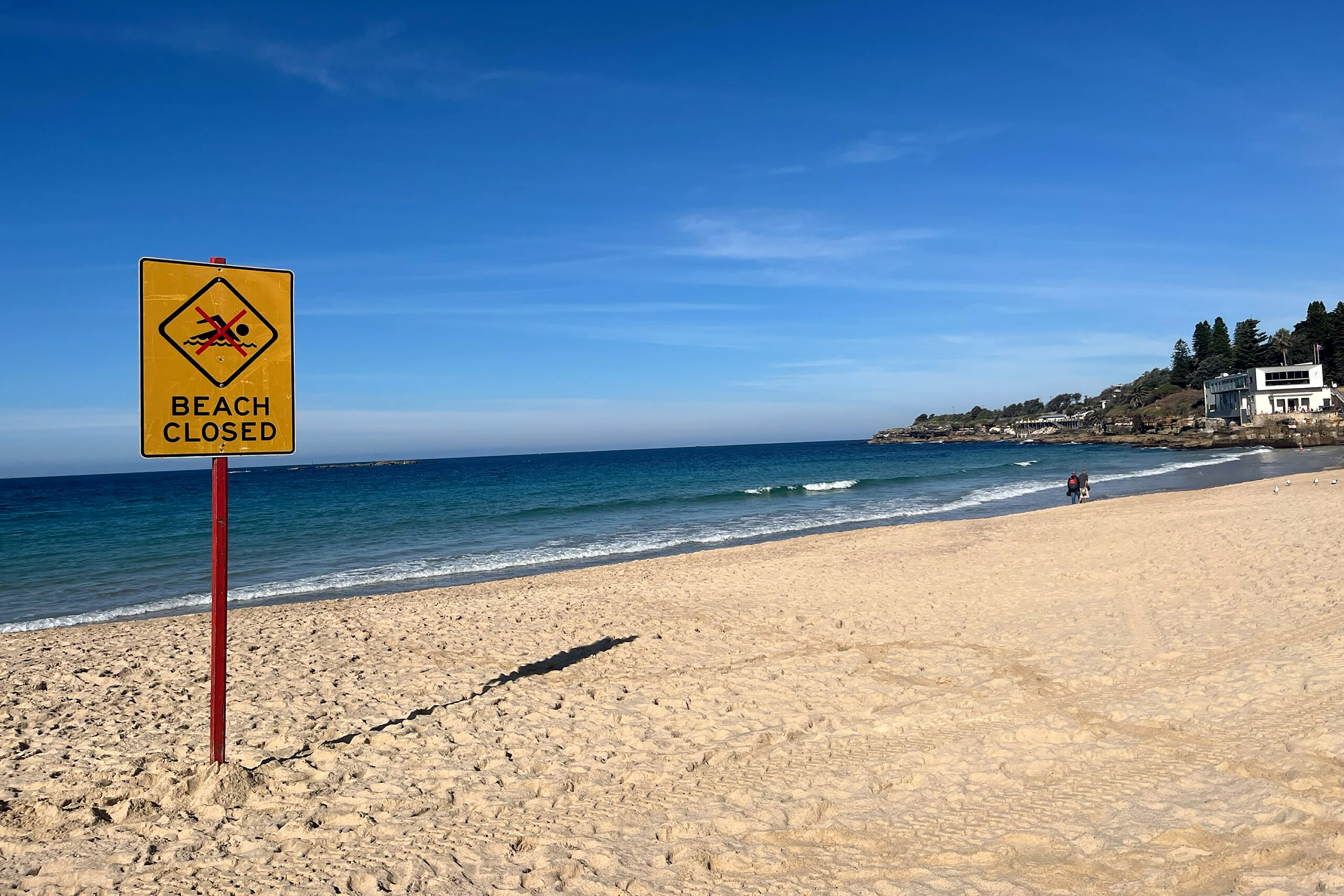 Australie: une nageuse dans un état critique après avoir été mordue par un requin