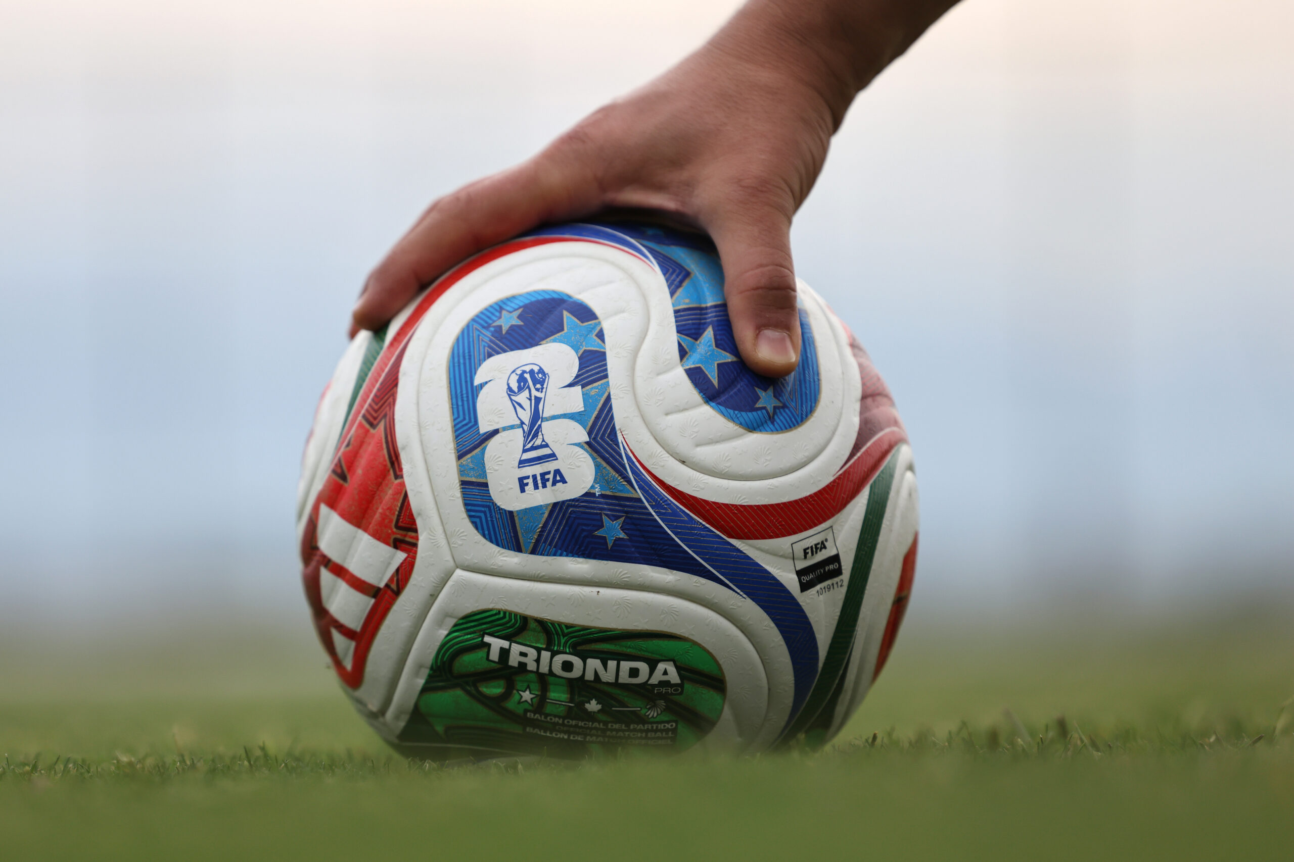 Tierorakel zu Fußballweltmeisterschaft vor erstem Deutschland-Spiel uneins