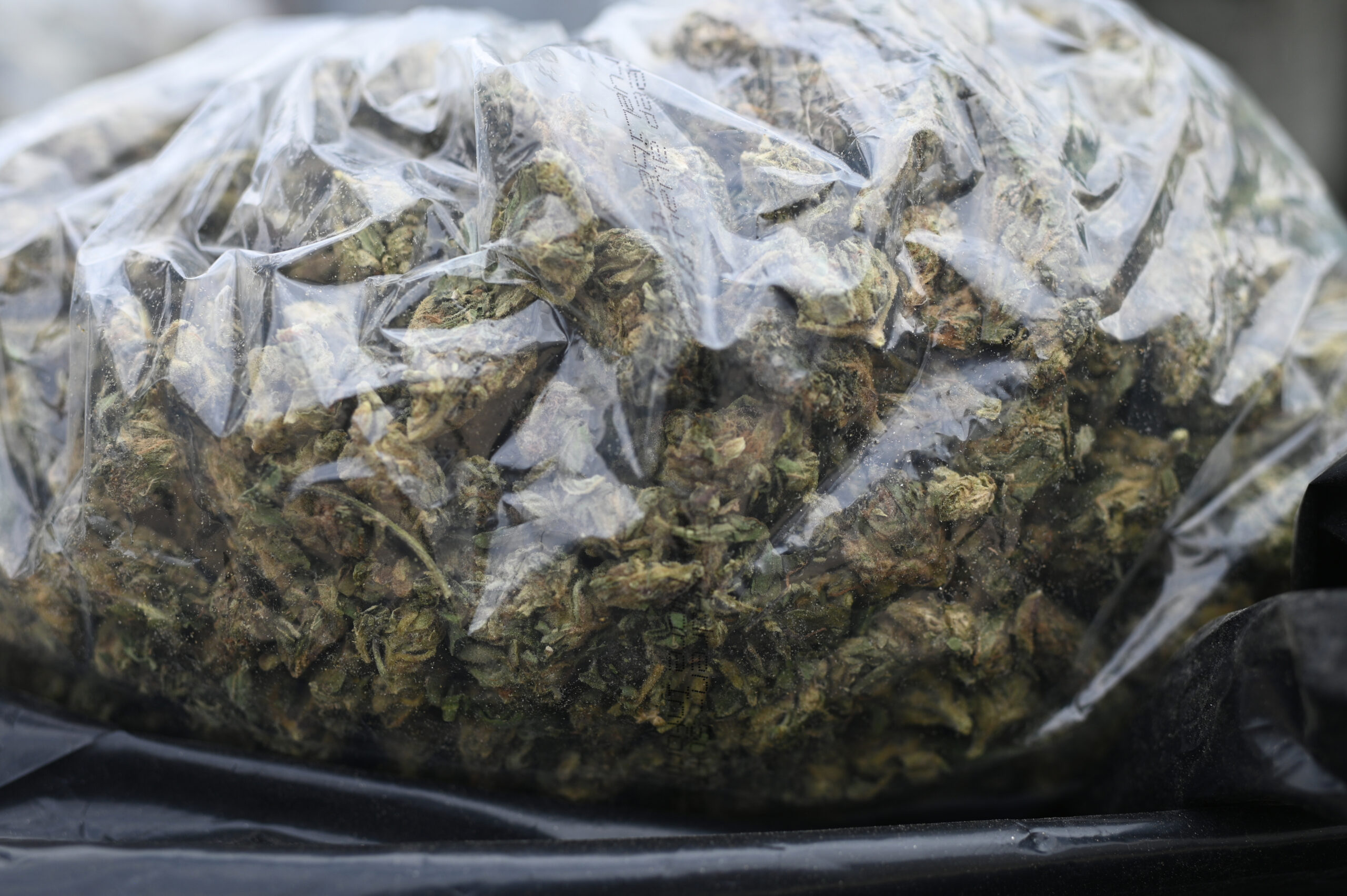 Chance auf kostenlosen Japan-Trip: 25-Jährige aus den USA schmuggelt Cannabis