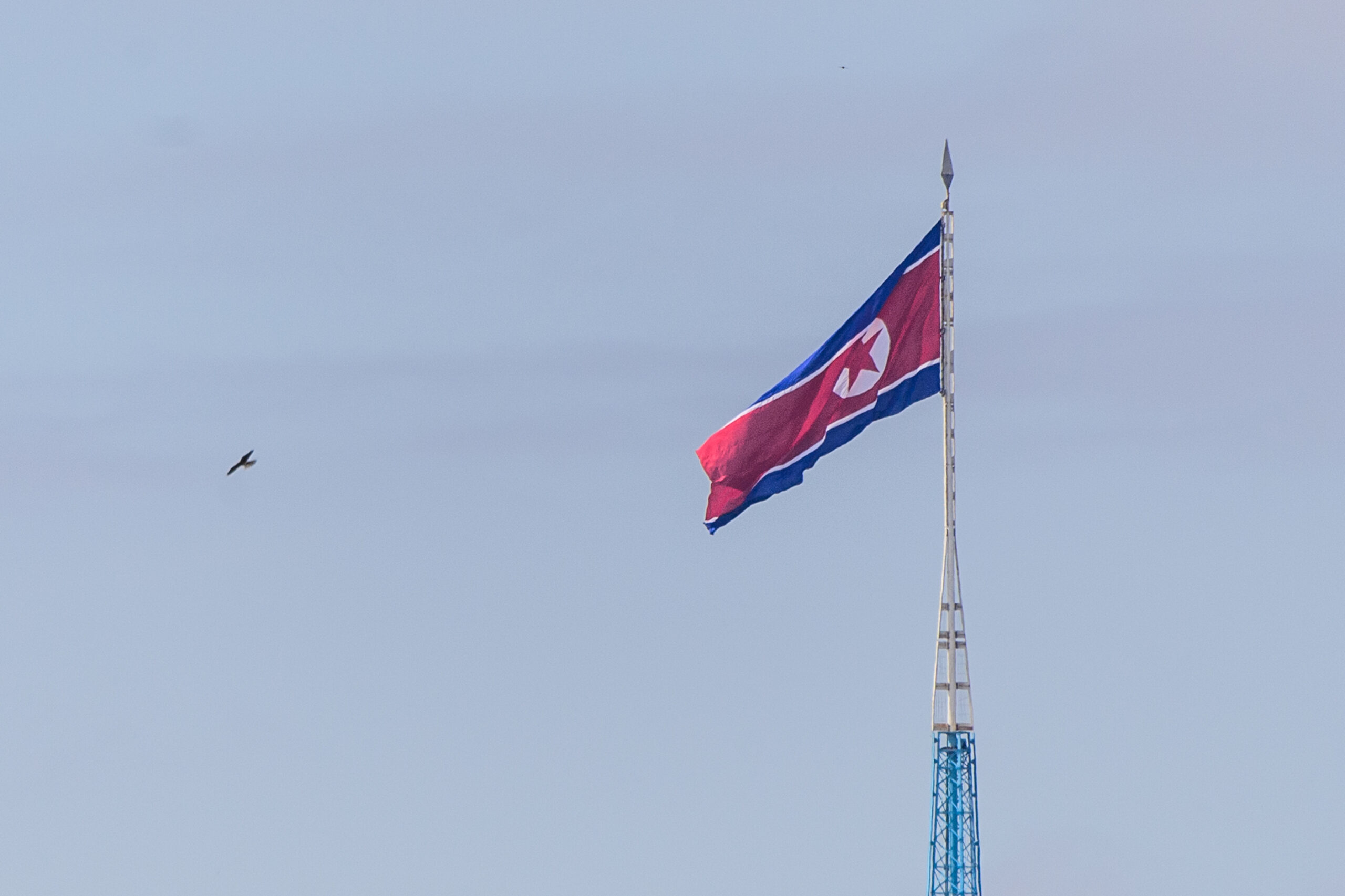 North Korea says tested AI-assisted torpedo system