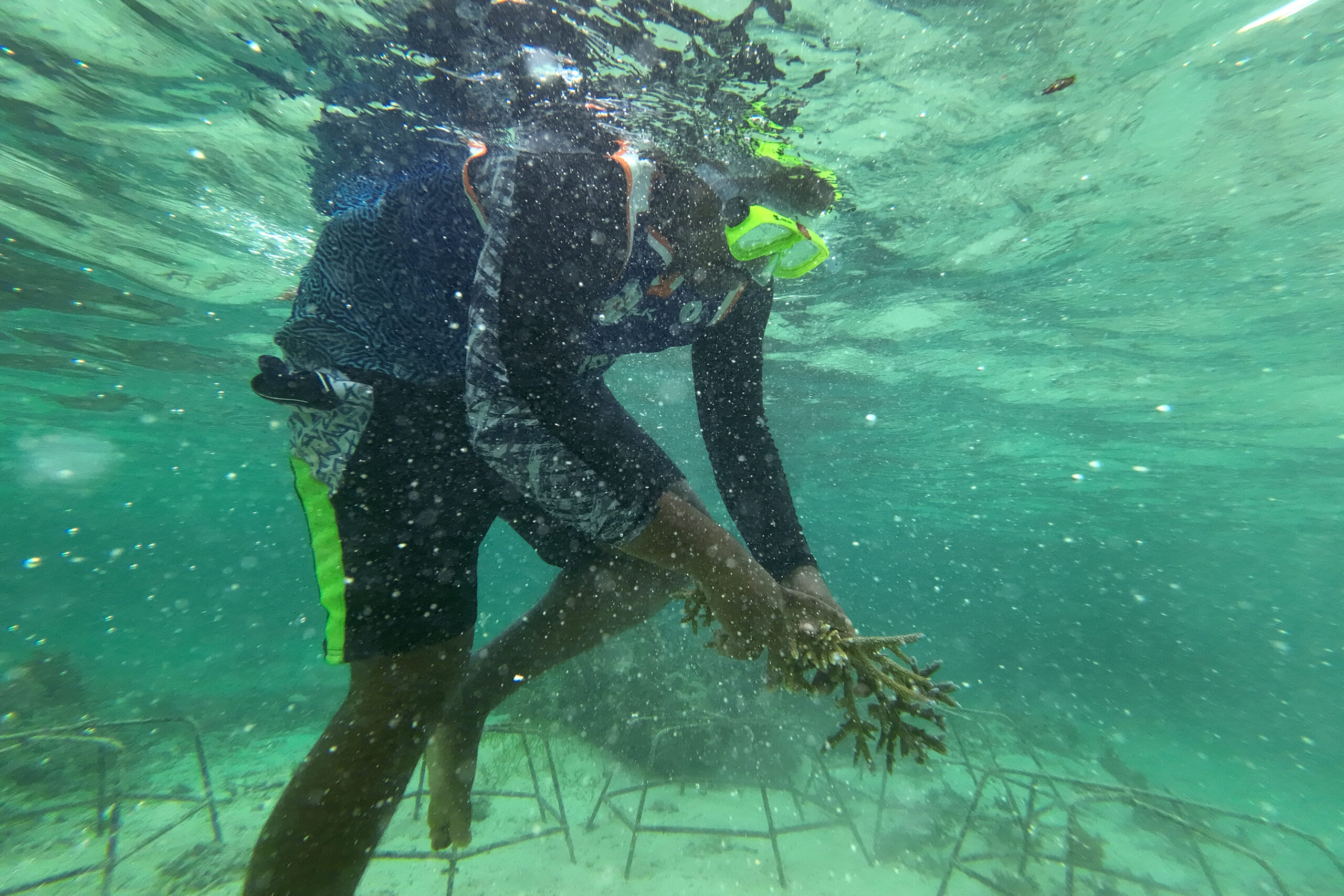 Tiny Fiji village restores dying fishery with coral planting